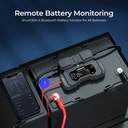 Renogy Battery Shunt 300 — 2