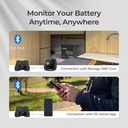 Renogy Battery Shunt 300 — 4