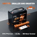 LiTime 12V 100Ah TM Bluetooth EN image 2