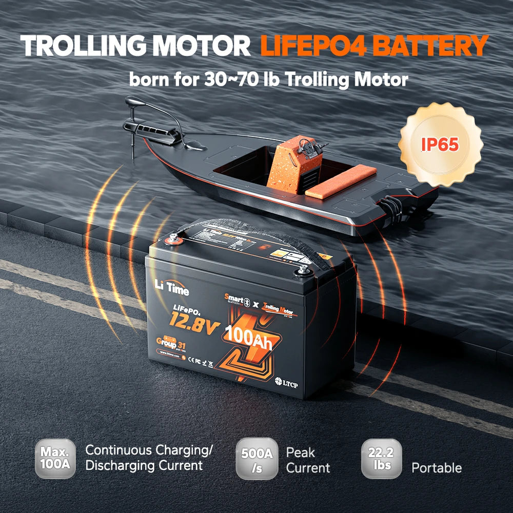 LiTime 12V 100Ah TM Bluetooth EN image 4