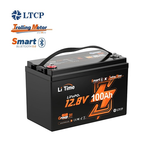 [L12V100-100-TM-BT-4-A100] LiTime 12V 100Ah TM Group31 LiFePO4 акумулатор с Bluetooth